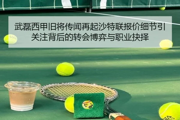 武磊西甲旧将传闻再起沙特联报价细节引关注背后的转会博弈与职业抉择